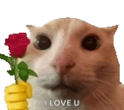 Comment image