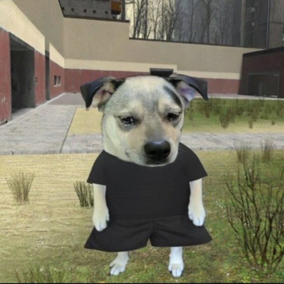 Comment image