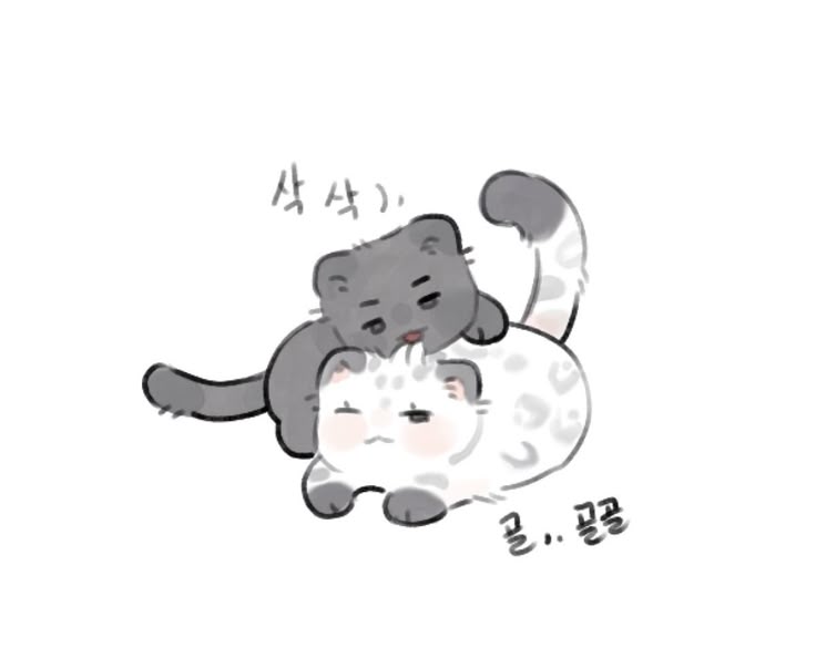 MilkTea_Here